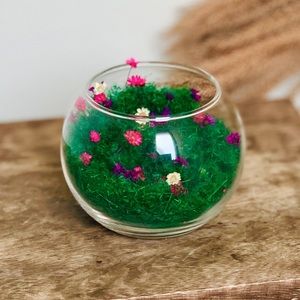 Neon Flower Terrarium